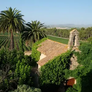 Mas Palou , Pla del Penedès España